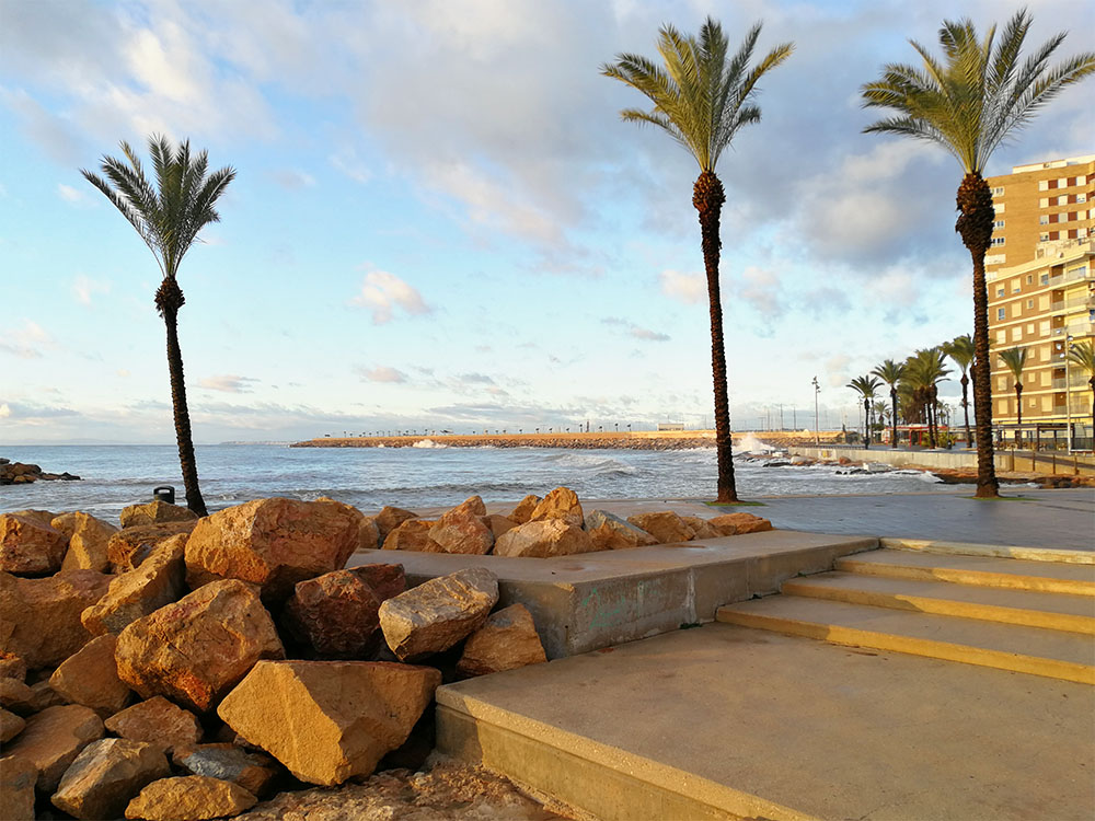 Stentrappa och palmer vid havet.