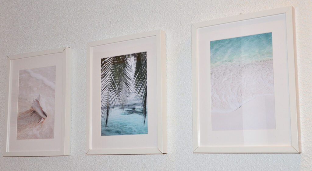 Tre tavlor med en snäcka, en palm och en strand.
